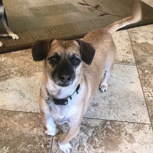 Meet your Posher, Nancy